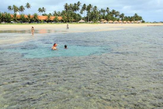 Casa Em Serrambi Com Piscina E Terraco Amplo Villa Pôrto das Galinhas Exterior foto